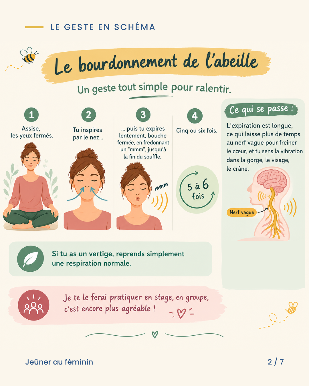 schéma expliquant la respiration de l'abeille